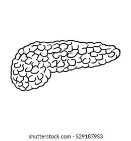 Human pancreas icon in outline style isolated on white background. Human organs symbol stock vector illustration.