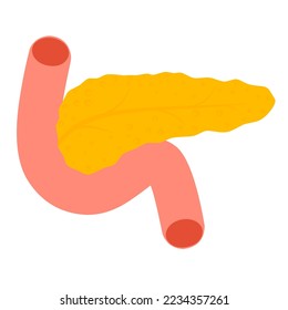 Human pancreas vector illustration on white background. Body organ symbol cartoon design.