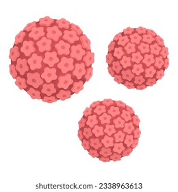 Human papillomavirus, medicine and healthcare concept, isolated