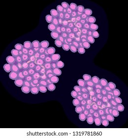 Human papillomavirus on dark background, vector illustration