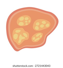 Parasitas Humanos Coccidia Illustration. Ilustração vetorial de um parasita intestinal humano