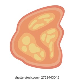 Coccidia-Illustration menschlicher Parasiten. Vektorgrafik eines menschlichen Darmparasiten