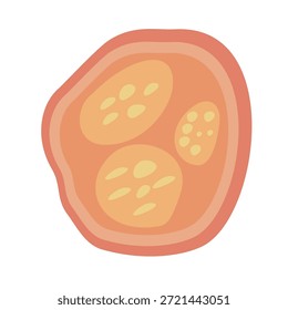 Parásitos humanos Coccidia Ilustración. Ilustración vectorial de parásitos intestinales humanos