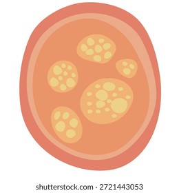 Parásitos humanos Coccidia Ilustración. Ilustración vectorial de parásitos intestinales humanos