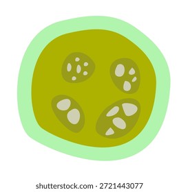 Parásitos humanos Coccidia Ilustración. Ilustración vectorial de parásitos intestinales humanos