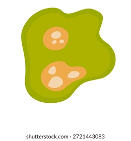Coccidia-Illustration menschlicher Parasiten. Vektorgrafik eines menschlichen Darmparasiten