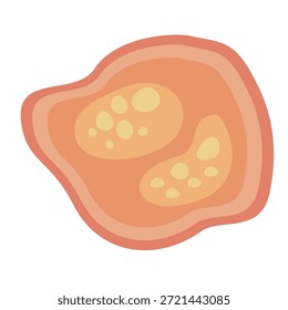Parásitos humanos Coccidia Ilustración. Ilustración vectorial de parásitos intestinales humanos