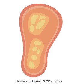 Parásitos humanos Coccidia Ilustración. Ilustración vectorial de parásitos intestinales humanos