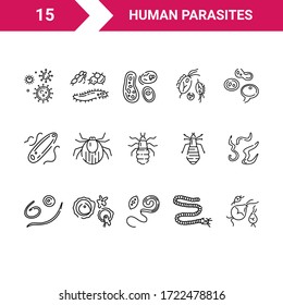 Human parasites. Set of linear icons. Roundworms, tapeworm, whipworm, cysts, pinworms, lice. Suitable for articles, posts on parasitology and helminthology.