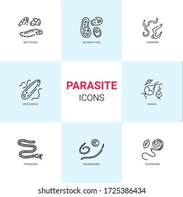 Human parasites. Set of linear icons. Roundworms, tapeworm, whipworm, cysts, pinworms, lice. Suitable for articles, posts on parasitology and helminthology.