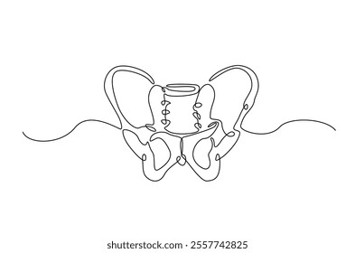 Human pelvic bone in continuous one line drawing. Anatomical structure. Editable vector.