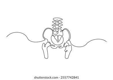 Human pelvic bone in continuous one line drawing. Anatomical structure. Editable vector.