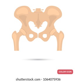 Human pelvic bones color flat icon