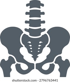 Human pelvis and lumbar spine bone icon, orthopedic anatomy sign, chiropractic medical clinic logo, skeletal system flat illustration