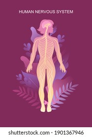 human peripheral nervous system, brain, spinal nerve endings vector illustration educational vertical poster female silhouette, human body in tropical leaves human internal microflora