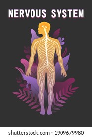 human peripheral nervous system, brain, spinal nerve endings vector illustration educational vertical poster male silhouette, human body in tropical leaves human internal microflora