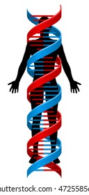 A human person figure in silhouette with a double Helix DNA genetics chromosome strand surrounding it