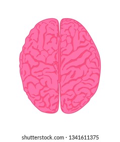 Human pink brain is a top view, Vector Illustration