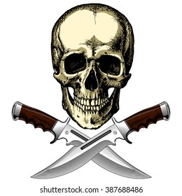 Human pirate skull with two knives on a blank background