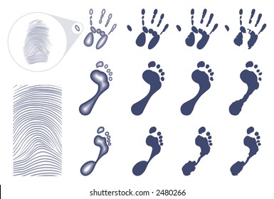 Human prints. Footprints are masculine and feminine. Traced by software as well as manually.