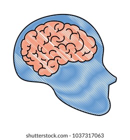 human profile with brain