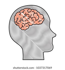 human profile with brain