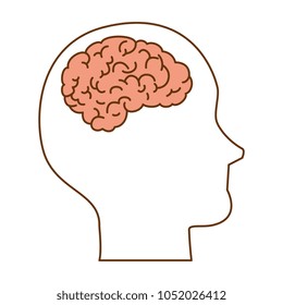 human profile with brain