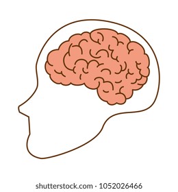 human profile with brain