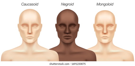 Human races, vector illustration. Set of Caucasian, African and Asian man models isolated on background. Major types of Homo Sapiens racial groups.