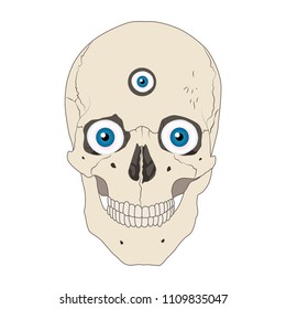 Human realistic skull. Blue eyes, third eye. White background. Flat vector illustration.