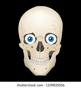 Human realistic skull with blue eyes. Black background. Vector illustration.