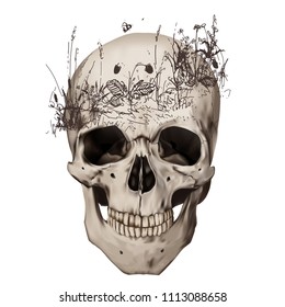 Human realistic skull with circlet of sketch doodle flowers. White background. Anatomy vector illustration.