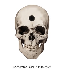 穴のあいた人間のリアルな頭蓋骨 手術 古代の手術 白い背景 解剖学のベクターイラスト のベクター画像素材 ロイヤリティフリー