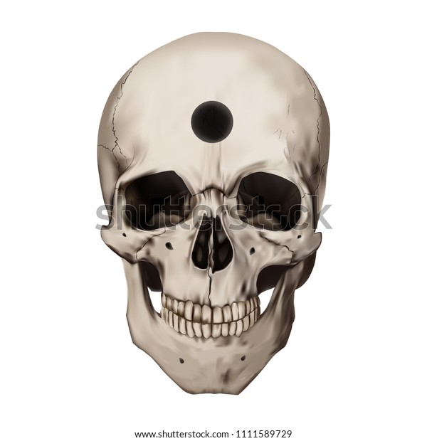 穴のあいた人間のリアルな頭蓋骨 手術 古代の手術 白い背景 解剖学のベクターイラスト のベクター画像素材 ロイヤリティフリー