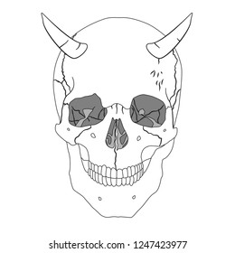 Human realistic skull with horns. White background. Flat vector illustration. Thin line design.