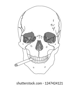 Human realistic skull smoking cigarette. White background. Anatomy vector illustration. Thin line design.