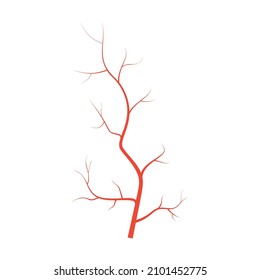 Human Red Eye Veins, Anatomy Blood Vessel Arteries Illustration. Vector Medical Eyeball Vein Arteries System Map. Veins In Flat Style Isolated On White Background