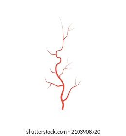 Human Red Eye Veins, Anatomy Blood Vessel Arteries Illustration. Vector Medical Eyeball Vein Arteries System Map. Veins In Flat Style Isolated On White Background