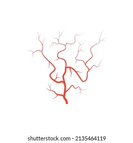 Human Red Eye Veins, Anatomy Blood Vessel Arteries Illustration. Vector Medical Eyeball Vein Arteries System Map. Veins In Flat Style Isolated On White Background