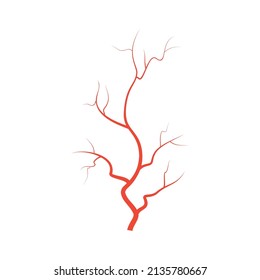 Human Red Eye Veins, Anatomy Blood Vessel Arteries Illustration. Vector Medical Eyeball Vein Arteries System Map. Veins In Flat Style Isolated On White Background