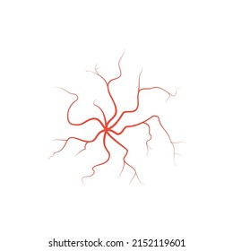 Human Red Eye Veins, Anatomy Blood Vessel Arteries Illustration. Vector Medical Eyeball Vein Arteries System Map. Veins In Flat Style Isolated On White Background