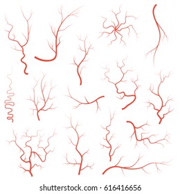 Human red eye veins set, anatomy blood vessel arteries illustration group. Vector medical eyeball vein arteries system map. Veins in flat style isolated on white background eps10