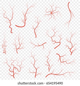 Human Red Eye Veins Set, Anatomy Blood Vessel Arteries Illustration Group. Vector Medical Eyeball System Map Isolated On White Background Eps10