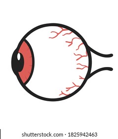 Human red eyeball Anatomy  vector Illustration