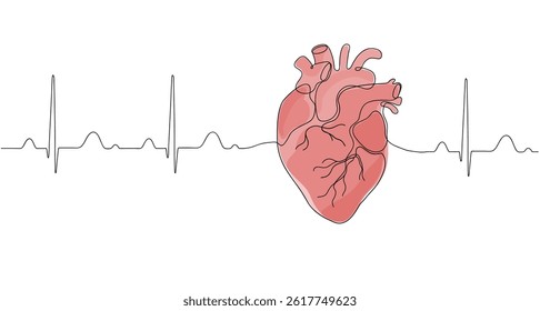 Human red heart one line continuous drawing. Vector internal organ illustration.