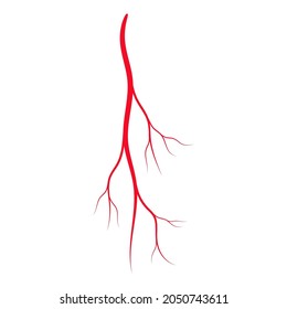Human red vein. Vessel, capillaries, arteries, eye vein. Blood system. Concept anatomy element for medical science. Vector illustration