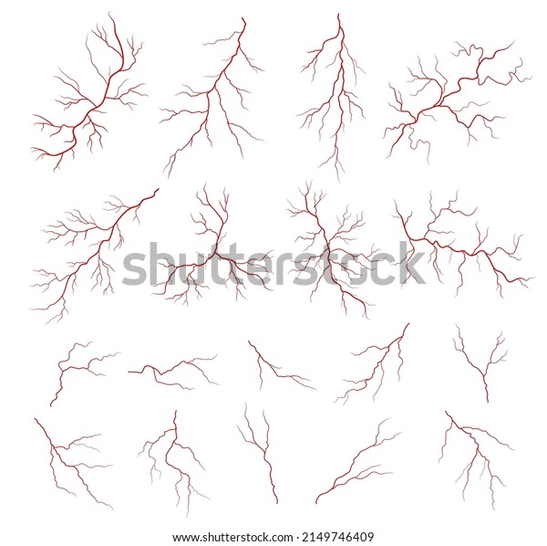 Human red veins, anatomy of blood vein, artery or\
eye capillary, arteriole and venule. Isolated vector vessels of\
blood, vascular or circulatory system with branching structure,\
medicine and science