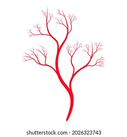 venas rojas humanas, vasos, capilares, arterias, vena ocular. Sistema sanguíneo. Concepto de elemento anatómico para la ciencia médica. Ilustración del vector