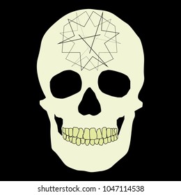 human remains of the skeleton of the skull