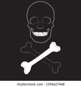 human remains of the skeleton of the skull